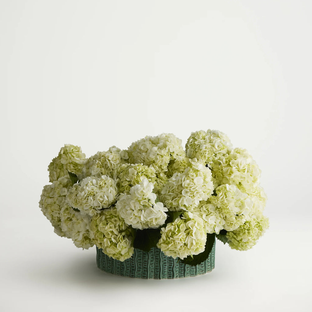 Bouquet of light green flowers in a textured pot on a white background